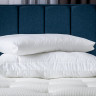 Подушка PROxSON Cozy 3-in-1