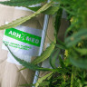 Матрас Mr.Mattress Sativa L 